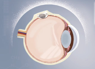 ����ϣ����williamhill(�й�)���Ĺٷ���վ