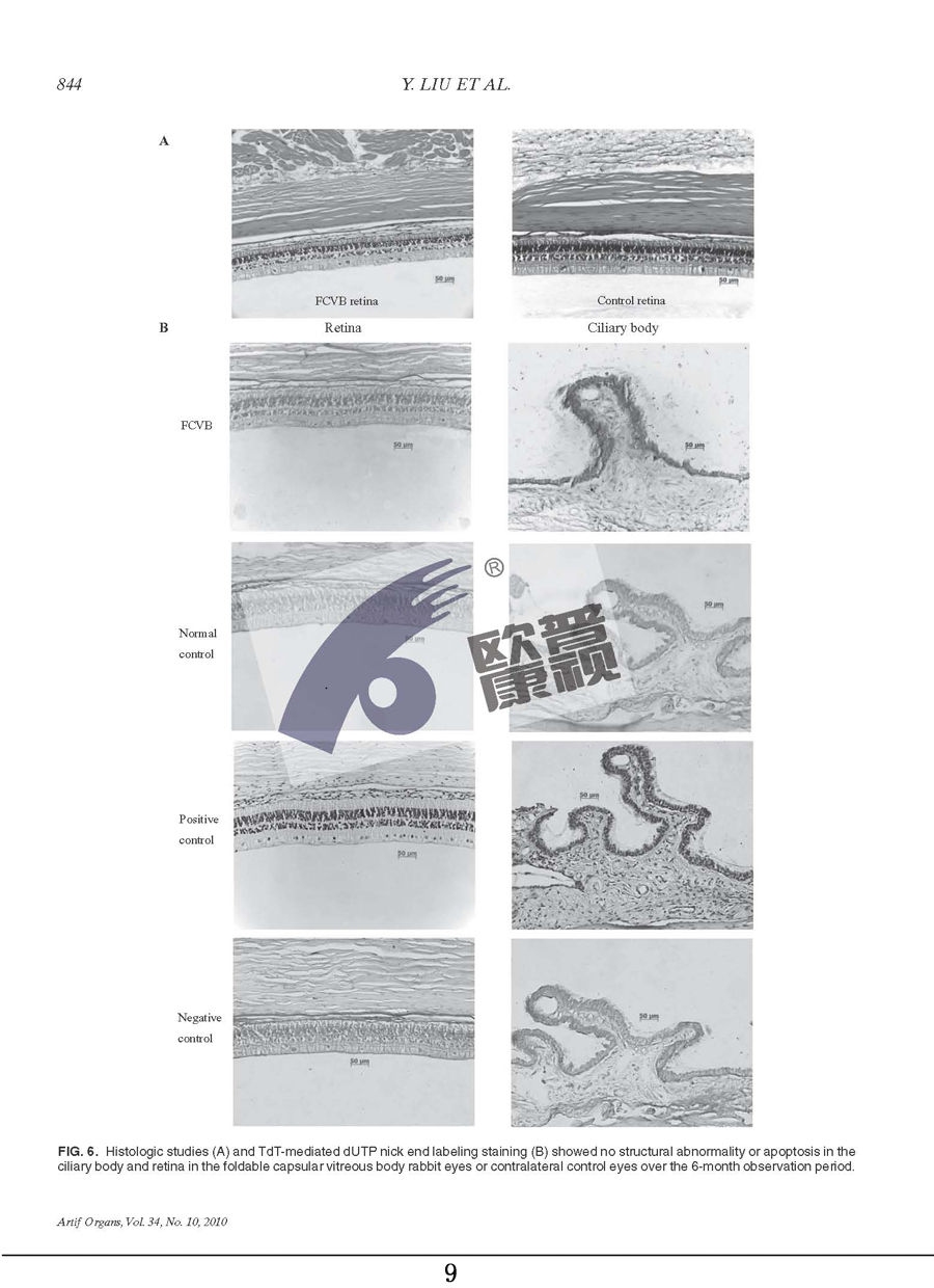 ����ϣ����williamhill(�й�)���Ĺٷ���վ