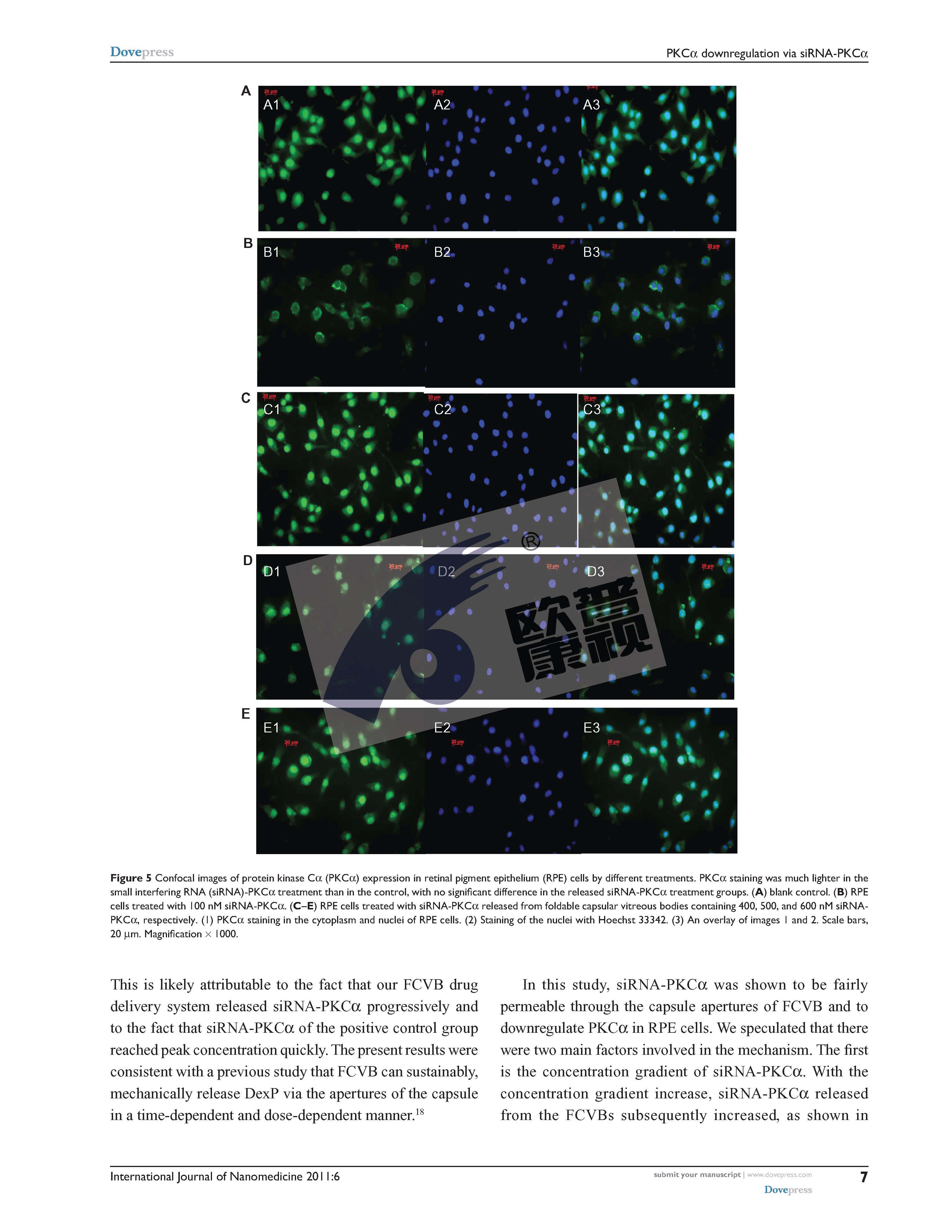 ����ϣ����williamhill(�й�)���Ĺٷ���վ