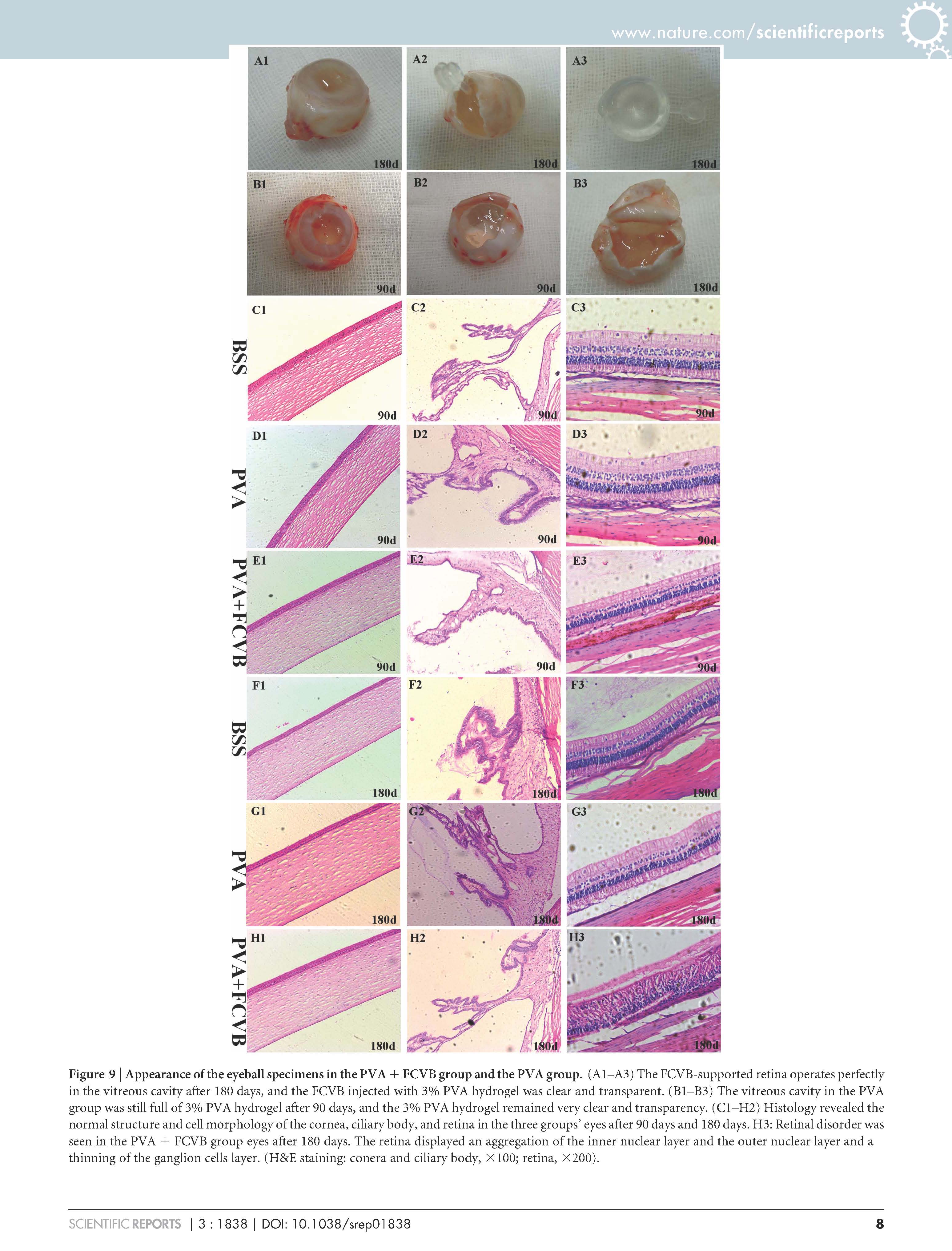 ����ϣ����williamhill(�й�)���Ĺٷ���վ
