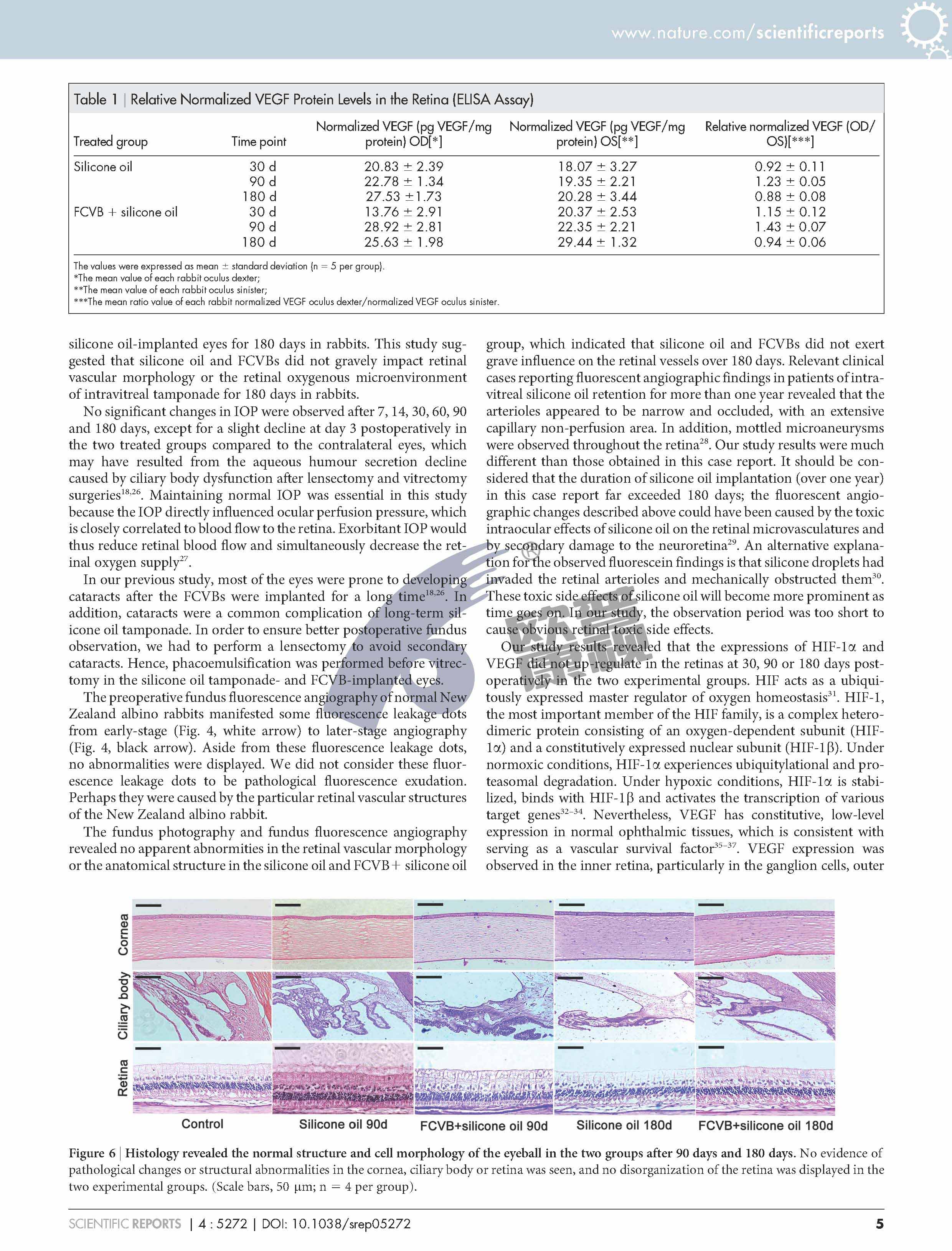 ����ϣ����williamhill(�й�)���Ĺٷ���վ