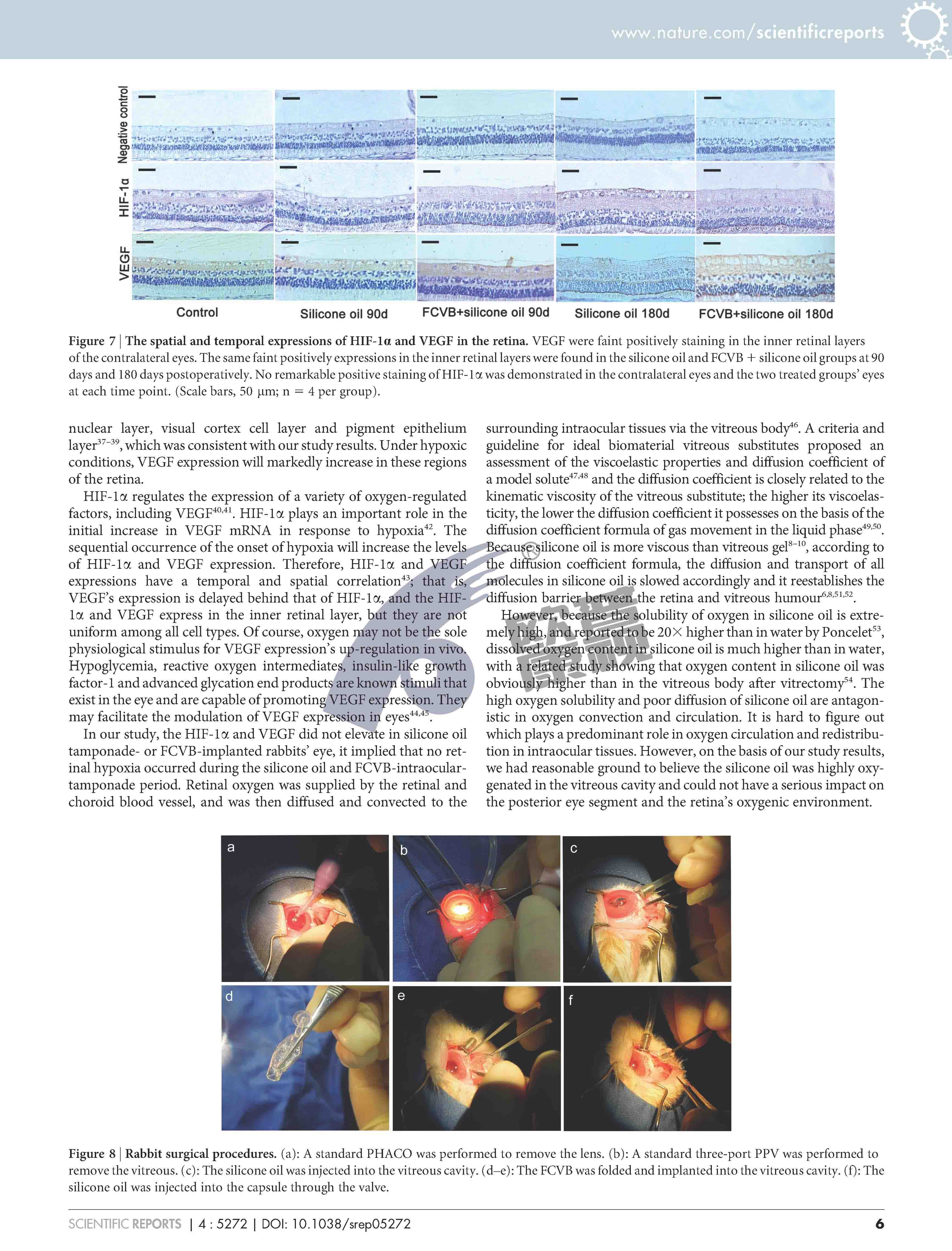 ����ϣ����williamhill(�й�)���Ĺٷ���վ