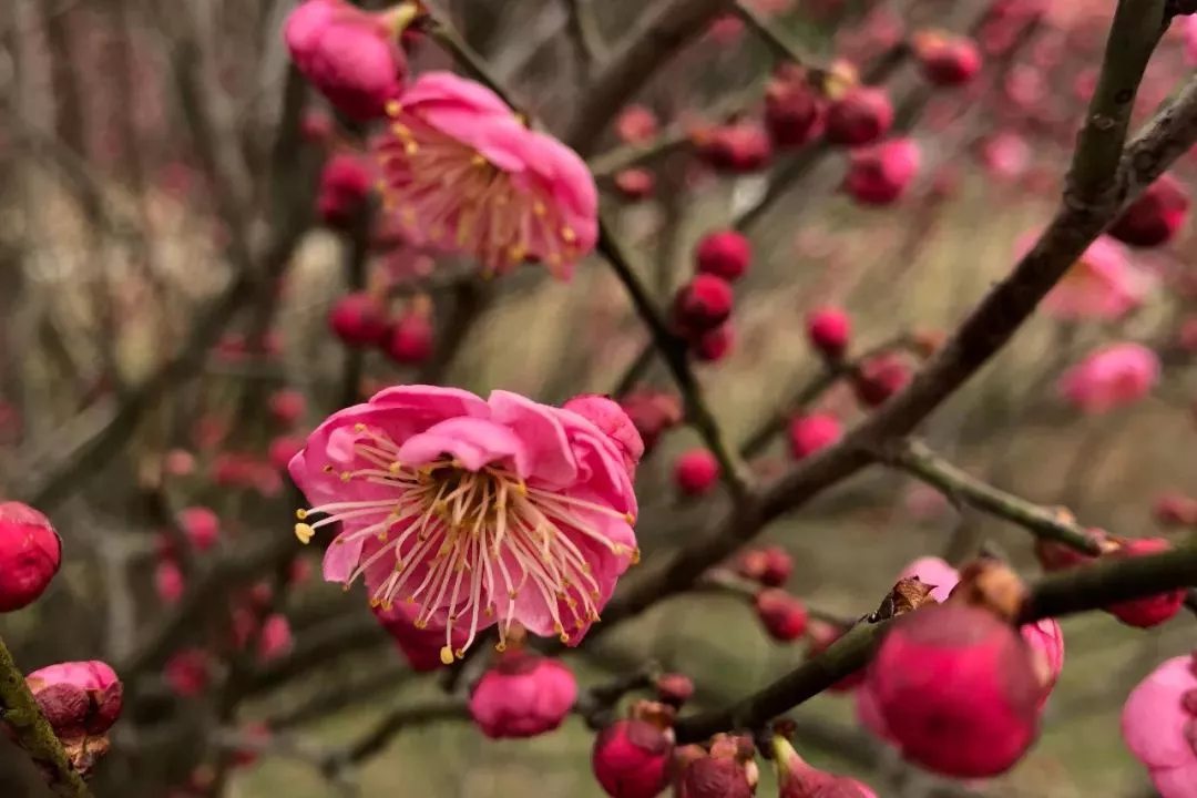 ����ϣ����williamhill(�й�)���Ĺٷ���վ