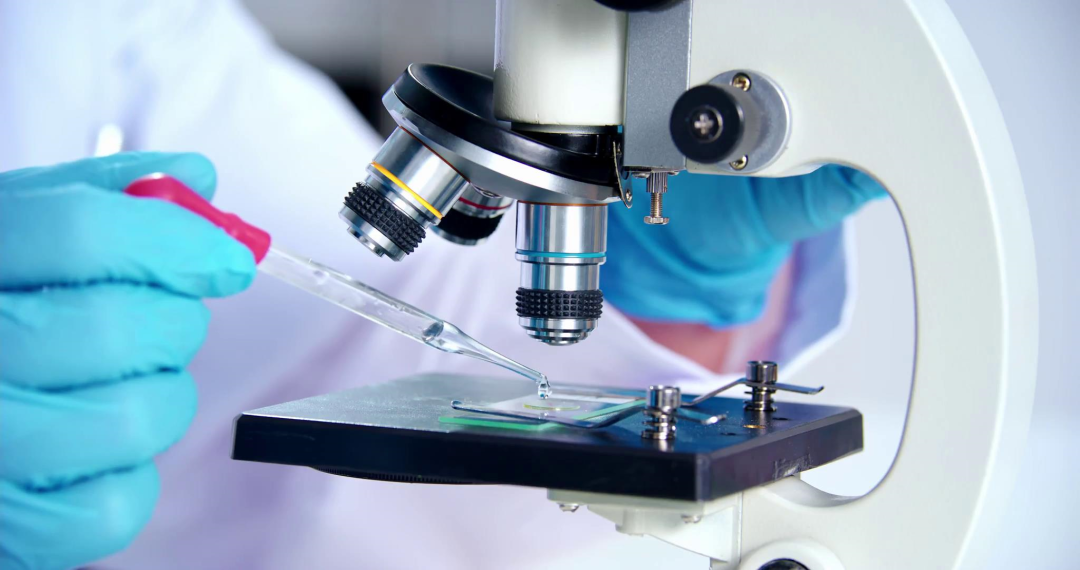 ����ϣ����williamhill(�й�)���Ĺٷ���վ