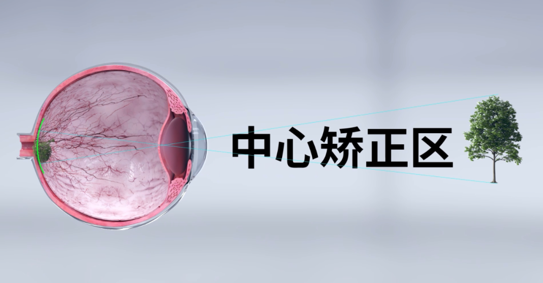 ����ϣ����williamhill(�й�)���Ĺٷ���վ